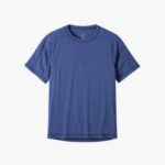 Dolorum fuga eget posuere commodo